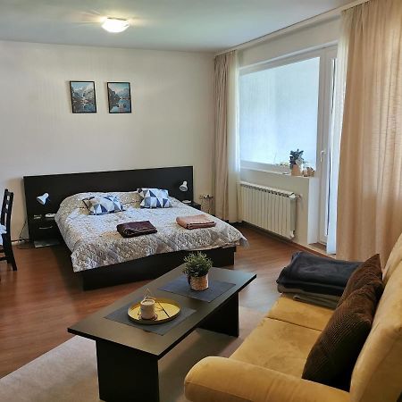 Sunny Studio Apartment - Few Steps From Gondola Bansko Eksteriør bilde