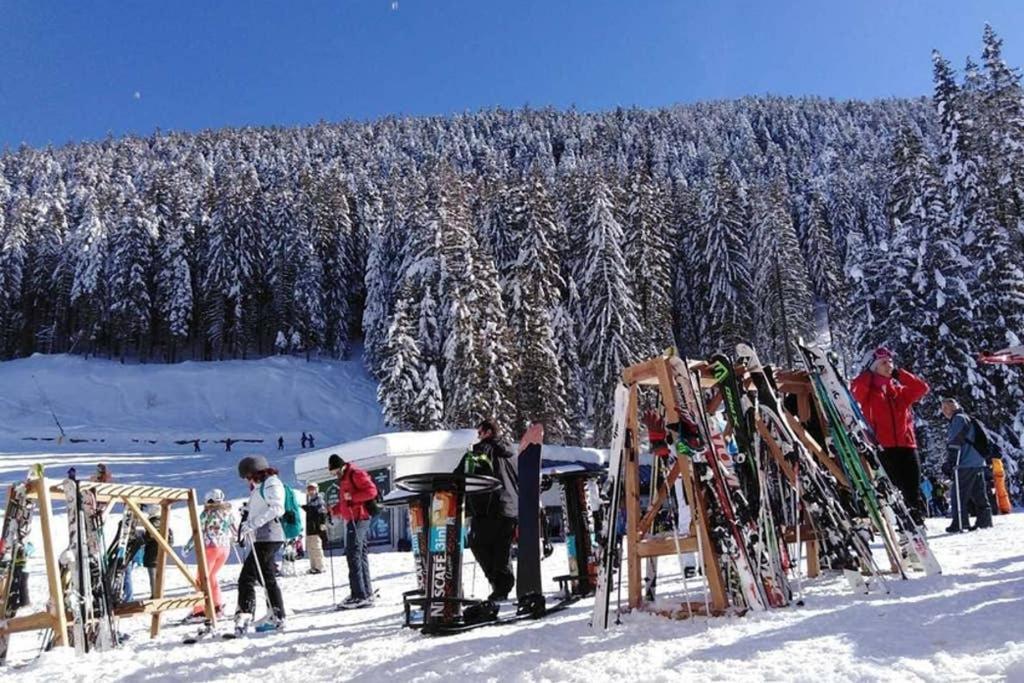 Sunny Studio Apartment - Few Steps From Gondola Bansko Eksteriør bilde
