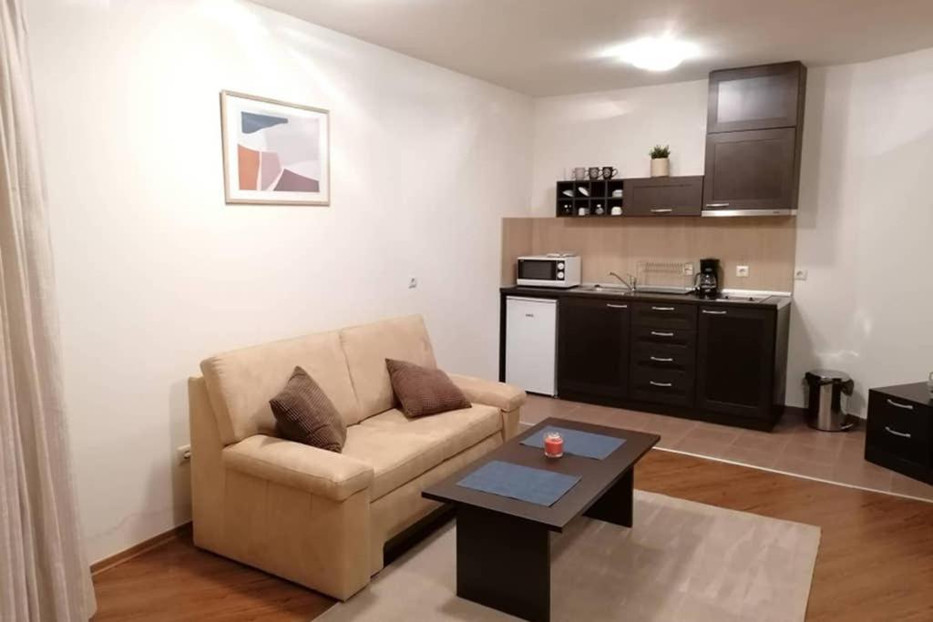 Sunny Studio Apartment - Few Steps From Gondola Bansko Eksteriør bilde