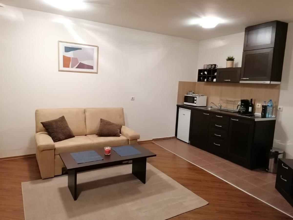 Sunny Studio Apartment - Few Steps From Gondola Bansko Eksteriør bilde