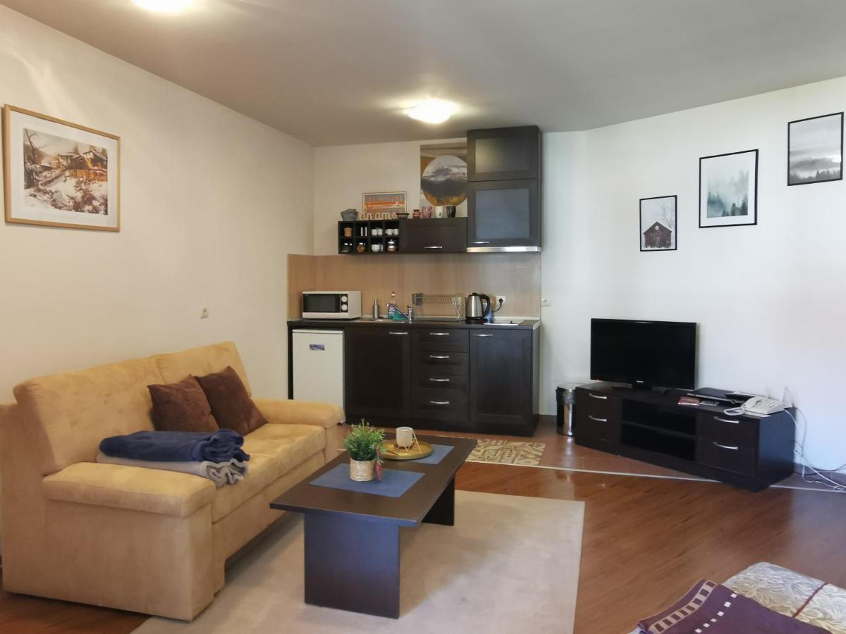 Sunny Studio Apartment - Few Steps From Gondola Bansko Eksteriør bilde