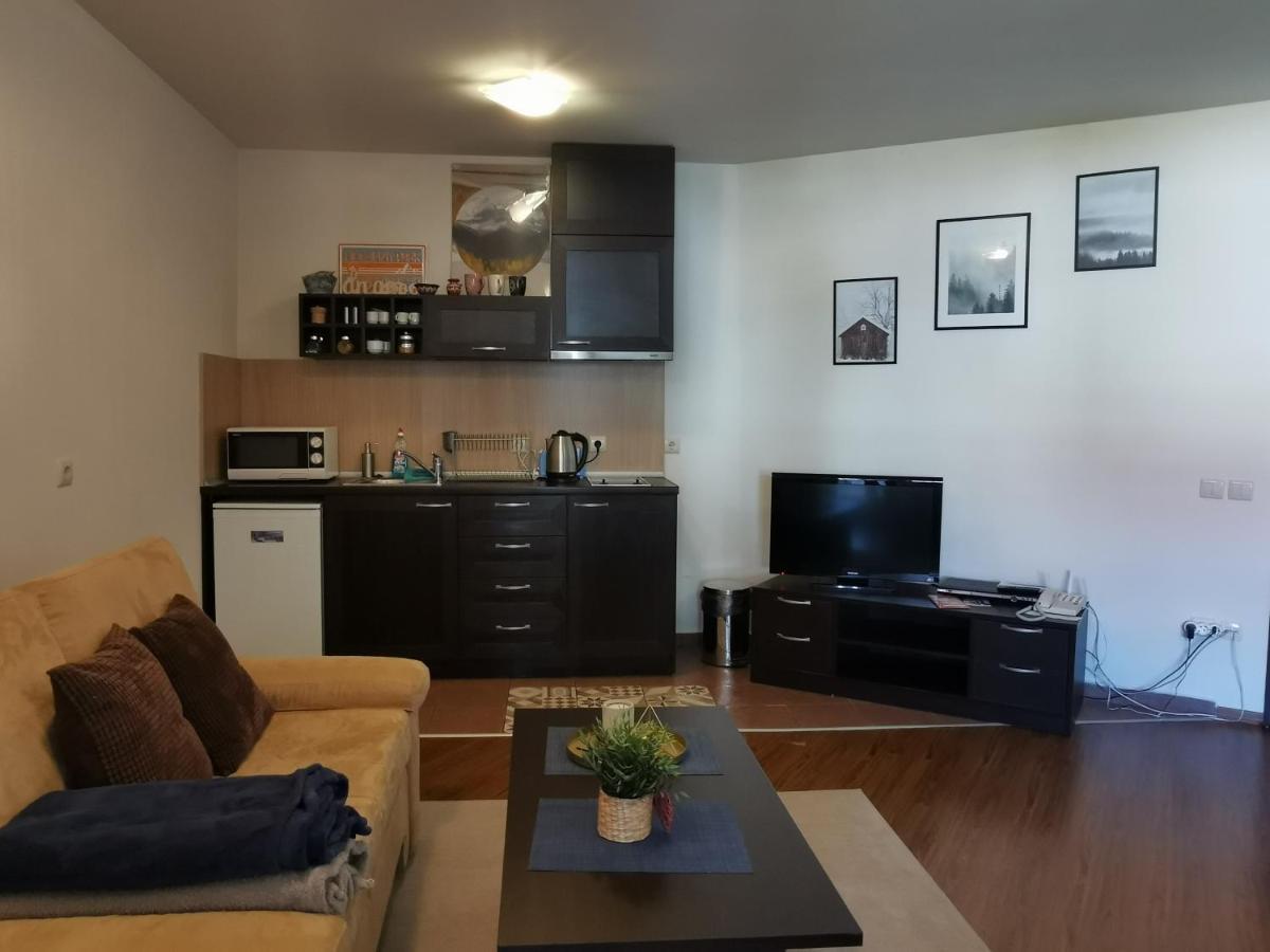 Sunny Studio Apartment - Few Steps From Gondola Bansko Eksteriør bilde