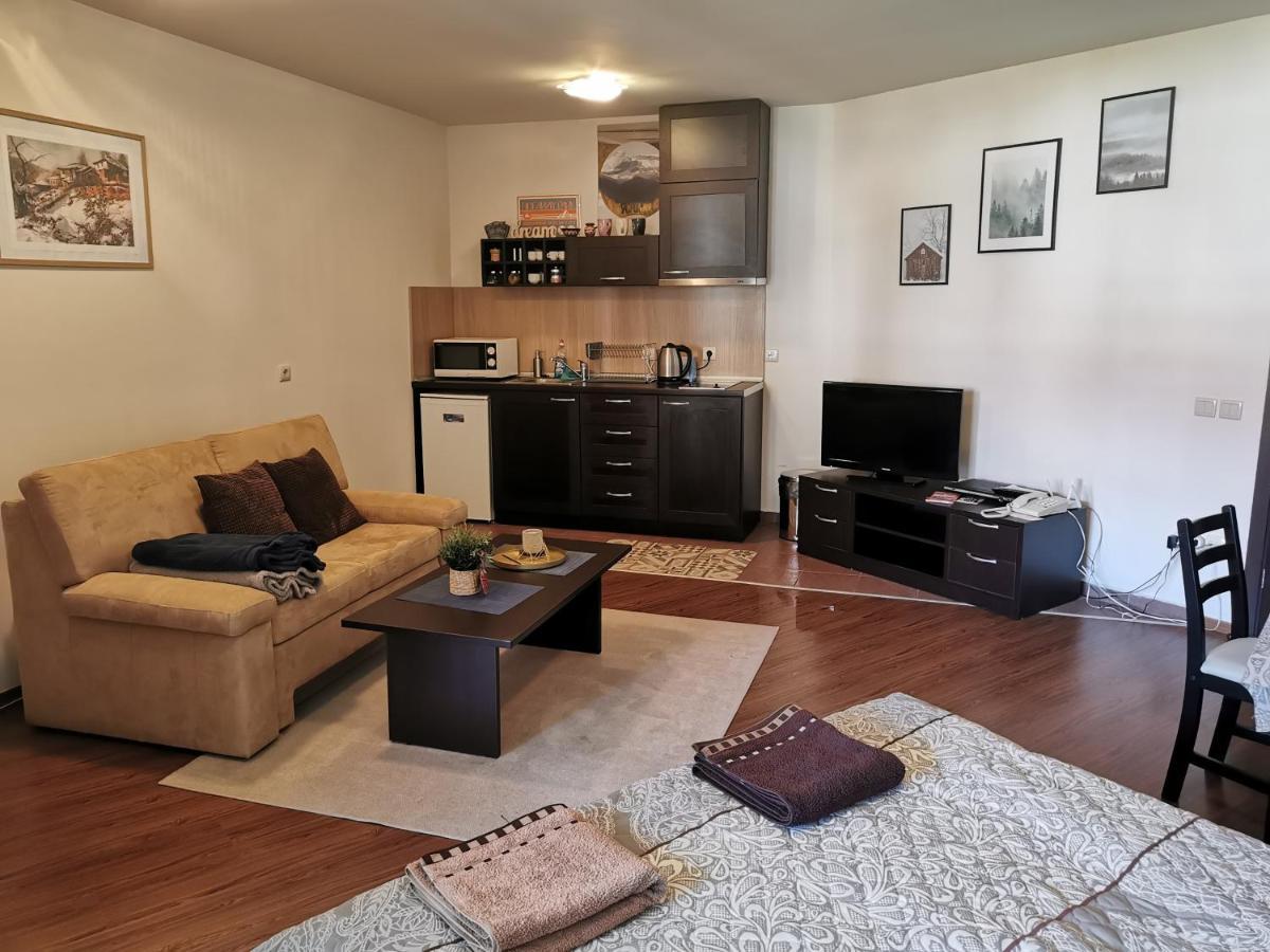Sunny Studio Apartment - Few Steps From Gondola Bansko Eksteriør bilde